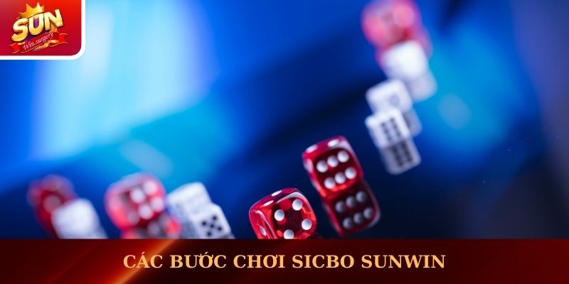 Các bước chơi Sicbo Sunwin